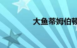 大鱼蒂姆伯顿（蒂姆伯顿）