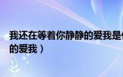 我还在等着你静静的爱我是什么电视剧（我还在等着你静静的爱我）