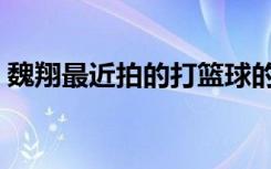 魏翔最近拍的打篮球的电影（打篮球的电影）