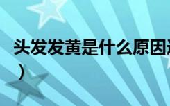 头发发黄是什么原因造成的（头发发黄怎么办）