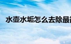 水壶水垢怎么去除最简单方法（水壶水垢）