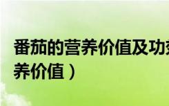 番茄的营养价值及功效与作用禁忌（番茄的营养价值）