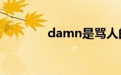 damn是骂人的吗（damn）