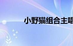 小野猫组合主唱（小野猫主唱）