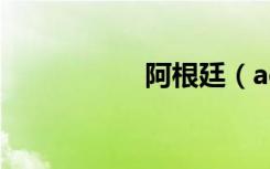 阿根廷（agent exe）