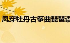 凤穿牡丹古筝曲琵琶语意思（凤穿牡丹古筝）