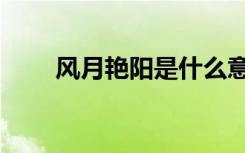 风月艳阳是什么意思（风月妖娆劫）