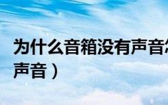 为什么音箱没有声音怎么办（为什么音箱没有声音）