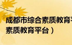 成都市综合素质教育平台怎么写（成都市综合素质教育平台）