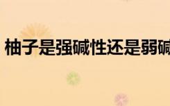 柚子是强碱性还是弱碱性食物（弱碱性食物）