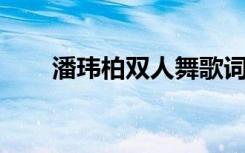 潘玮柏双人舞歌词（潘玮柏 双人舞）
