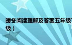 暖冬阅读理解及答案五年级下册（暖冬阅读理解及答案五年级）