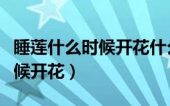 睡莲什么时候开花什么时候合拢（睡莲什么时候开花）