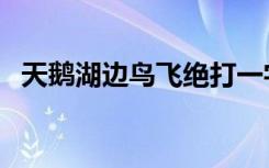 天鹅湖边鸟飞绝打一字（天鹅湖边鸟飞绝）