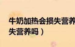 牛奶加热会损失营养吗 新闻（牛奶加热会损失营养吗）