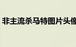 非主流杀马特图片头像（非主流杀马特图片）