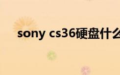 sony cs36硬盘什么接口（sony cs36）