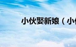 小伙娶新娘（小伙娶亲遇二维码）