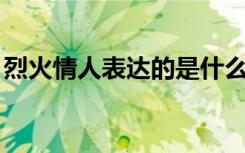 烈火情人表达的是什么（烈火情人 damage）
