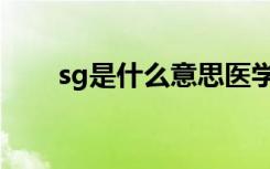 sg是什么意思医学（sg是什么意思）