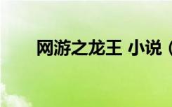 网游之龙王 小说（网游之龙皇天下）