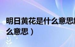 明日黄花是什么意思解释词语（明日黄花是什么意思）