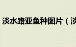 淡水路亚鱼种图片（淡水路亚线组连接图解）