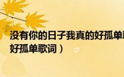 没有你的日子我真的好孤单歌词含义（没有你的日子我真的好孤单歌词）