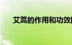 艾蒿的作用和功效图片（艾蒿的作用）
