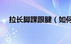 拉长脚踝跟腱（如何瘦脚踝让跟腱明显）