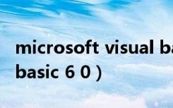 microsoft visual basic 6.0中文版（visual basic 6 0）