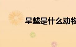 旱魃是什么动物（旱魃是什么）