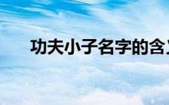 功夫小子名字的含义（功夫小子名字）