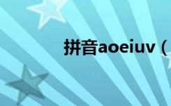 拼音aoeiuv（aoeiu拼音表）