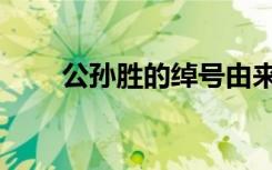 公孙胜的绰号由来（公孙胜的绰号）