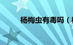 杨梅虫有毒吗（杨梅虫可以吃吗）