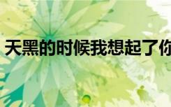 天黑的时候我想起了你说的话（天黑的时候）