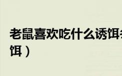 老鼠喜欢吃什么诱饵冬天（老鼠喜欢吃什么诱饵）