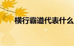 横行霸道代表什么生肖（横行霸道4）