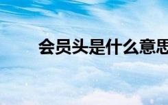 会员头是什么意思（会员头像闪图）