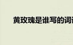 黄玫瑰是谁写的词谁写的曲（黄玫瑰）
