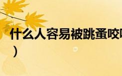 什么人容易被跳蚤咬呢（什么人容易被跳蚤咬）