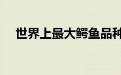 世界上最大鳄鱼品种（世界上最大鳄鱼）