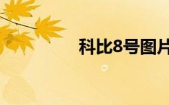 科比8号图片（科比8号）
