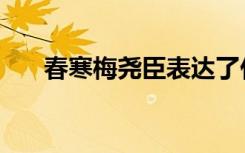 春寒梅尧臣表达了什么（春寒梅尧臣）