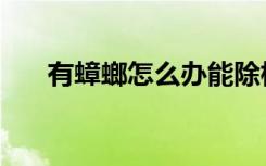 有蟑螂怎么办能除根（有蟑螂怎么办）