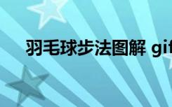 羽毛球步法图解 gif（羽毛球步伐图解）