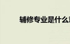 辅修专业是什么意思（辅修专业）