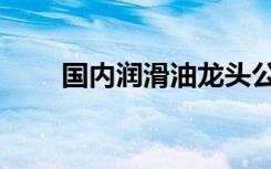 国内润滑油龙头公司（国内润滑油）