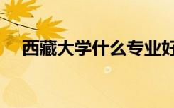 西藏大学什么专业好（大学什么专业好）
